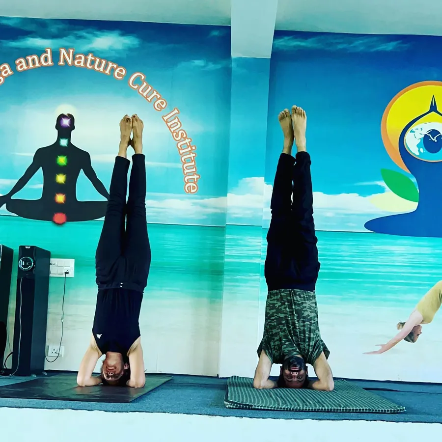 Photo: two people doing headstands side by side in a yoga studio